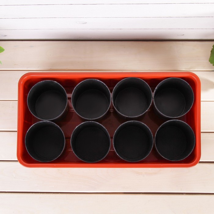 Набор для рассады: стаканы - 8 шт. по 400 мл, поддон 40 х 20 см, чёрно-коричневый