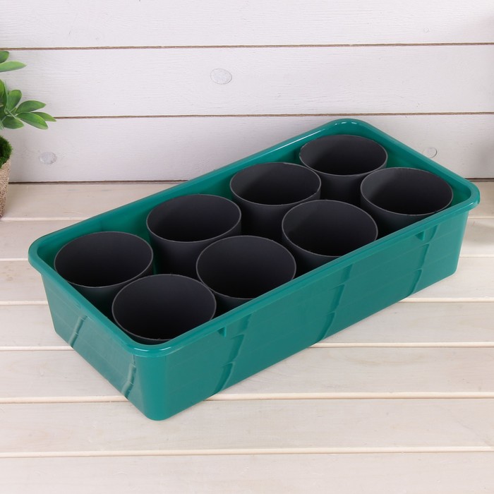 Набор для рассады: стаканы - 8 шт. по 400 мл, поддон 40 х 20 см, бело-зелёный