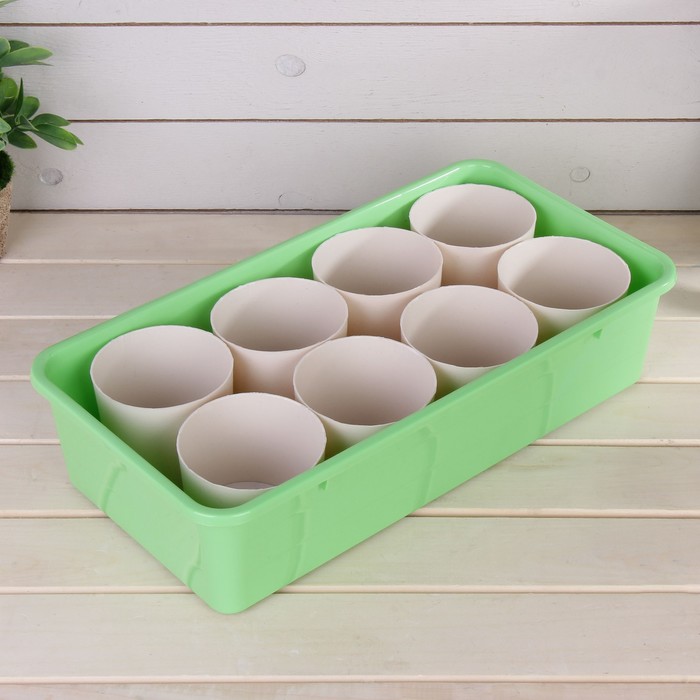 Набор для рассады: стаканы - 8 шт. по 400 мл, поддон 40 х 20 см, коричнево-зелёный