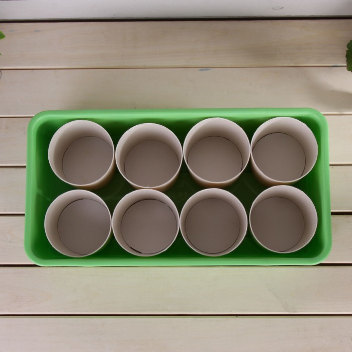 Набор для рассады: стаканы - 8 шт. по 400 мл, поддон 40 х 20 см, коричнево-зелёный