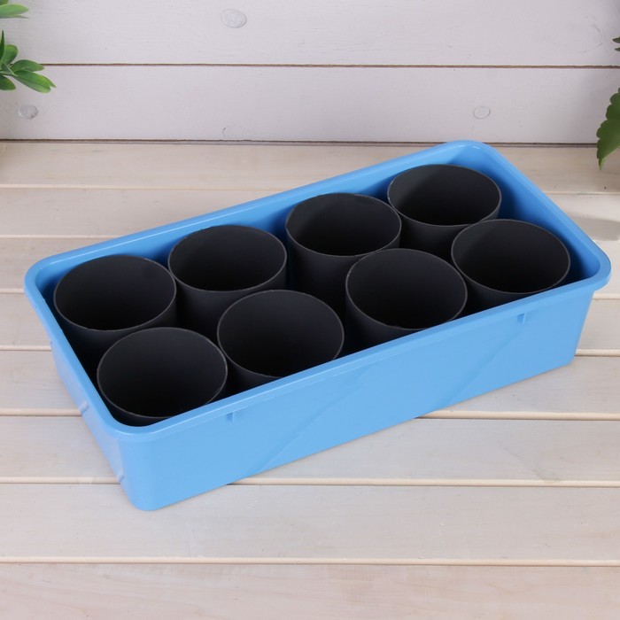 Набор для рассады: стаканы - 8 шт. по 400 мл, поддон 40 х 20 см, чёрно-голубой