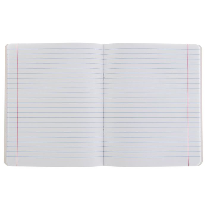 Тетрадь предметная "Ассорти. Литература", 48 листов, клетка, МИКС