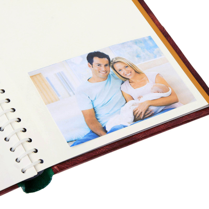 Фотоальбом "Наша любимая семья", 10 магнитных листов