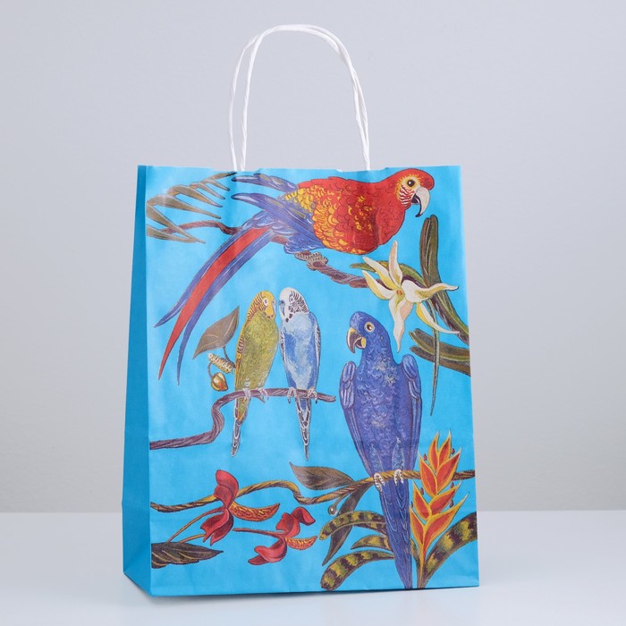 Пакет крафт "Попугайчики", 25 х 11 х 32 см