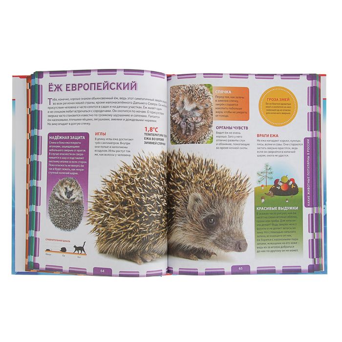 Российская энциклопедия для умных и любознательных