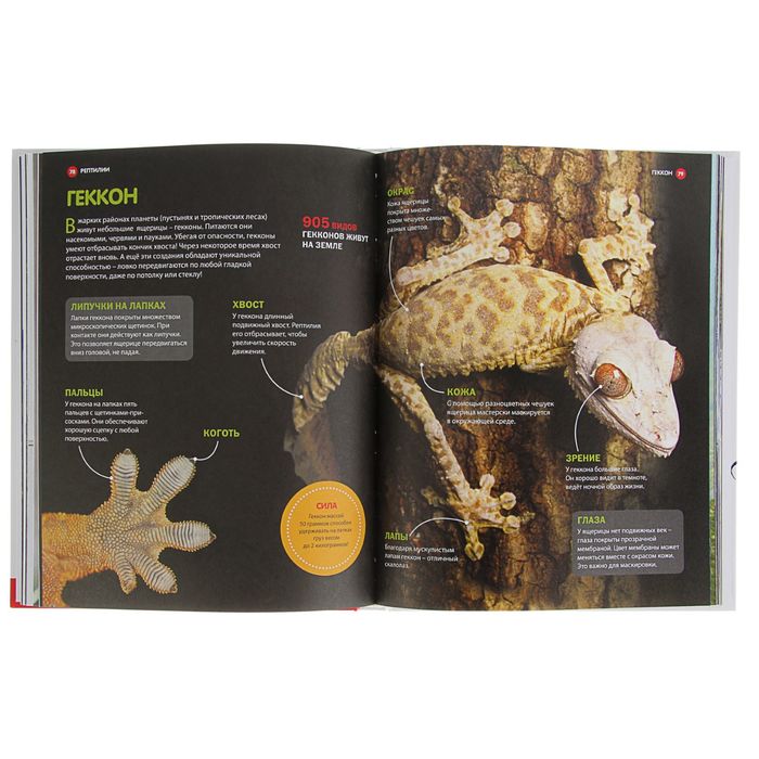 Детская энциклопедия. Удивительный мир динозавров и рептилий, 128 страниц