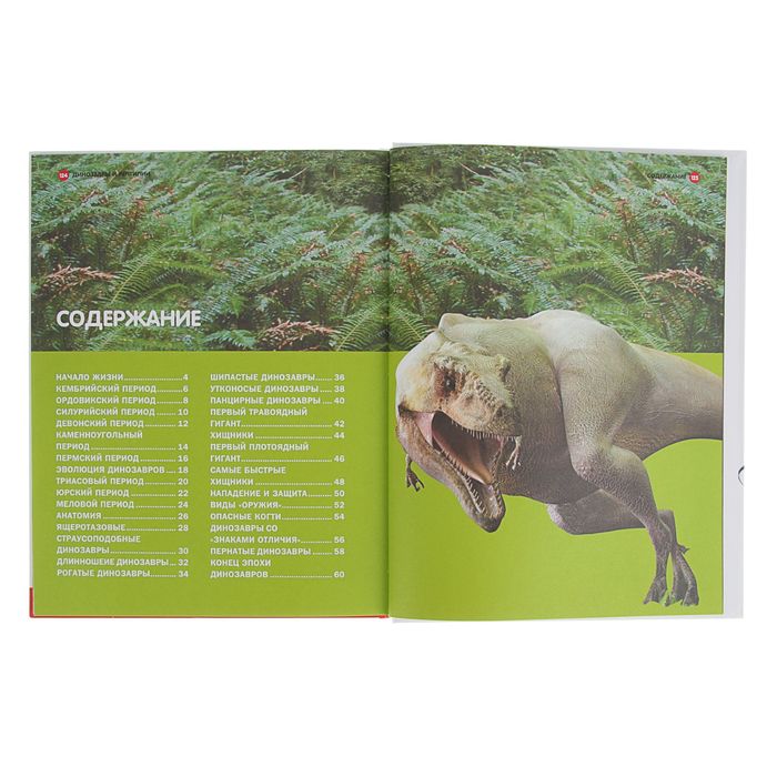 Детская энциклопедия. Удивительный мир динозавров и рептилий, 128 страниц