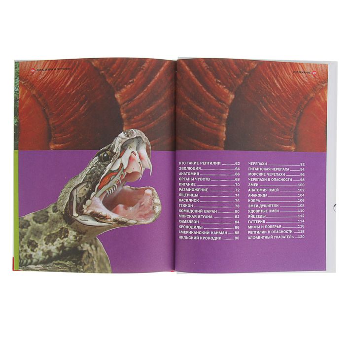 Детская энциклопедия. Удивительный мир динозавров и рептилий, 128 страниц