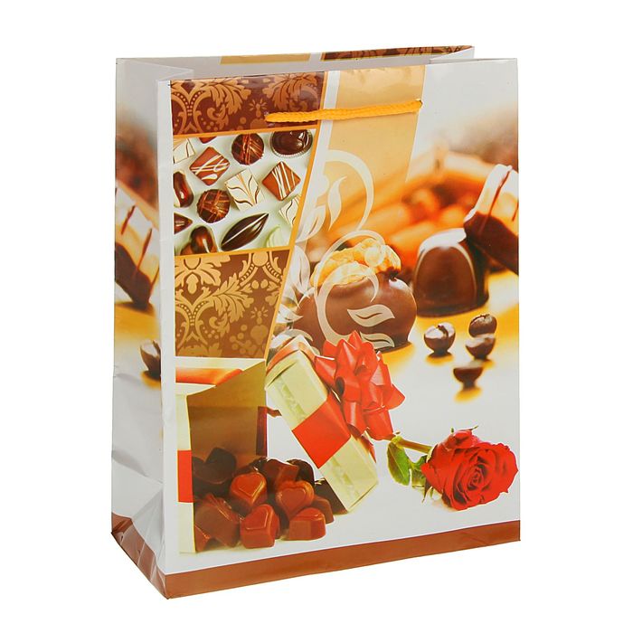 Пакет ламинированный 18 х 23 х 8,5 см