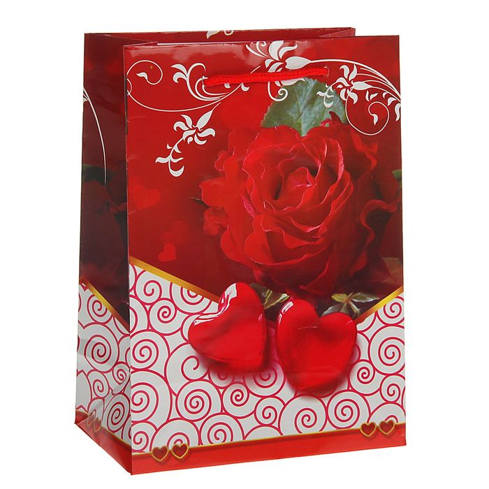 Пакет ламинированный 26 х 32 х 10 см