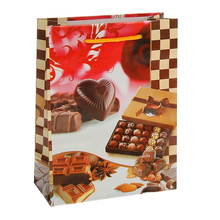 Пакет подарочный "Шоколад", 18 х 8,5 х 23 см