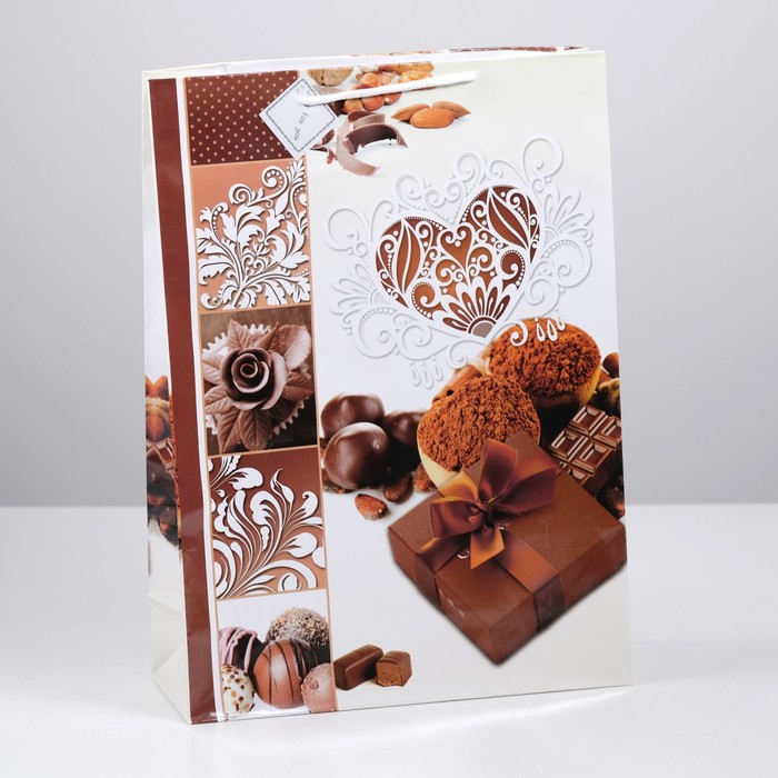 Пакет ламинированный 44 х 32 х 11 см