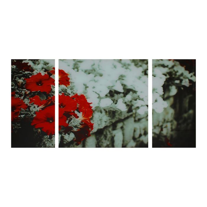 Модульная картина на стекле "Красные цветы", 2 — 25×50, 1 — 50×50, 100×50 см