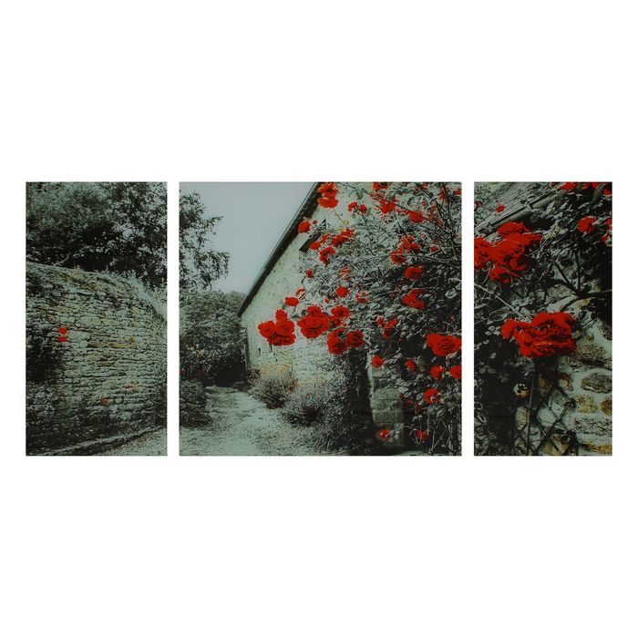 Модульная картина на стекле "Цветы на стене"