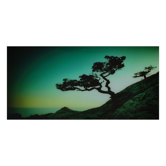 Картина на стекле "Дерево на скале"