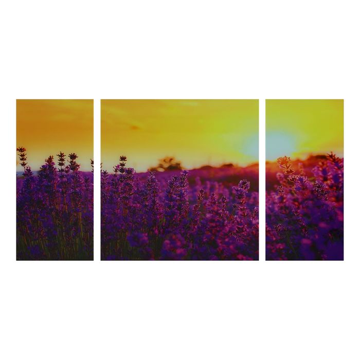 Модульная картина на стекле "Цветочное поле", 2 — 25×50, 1 — 50×50, 100×50 см