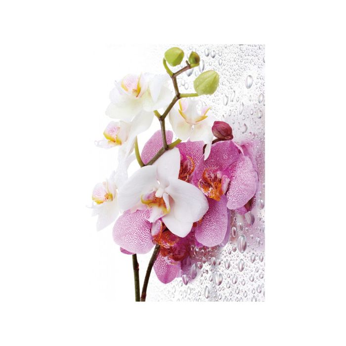 Фотообои "Вилма" 21-0413-FW (из 2-х листов), 2,00х2,8 м