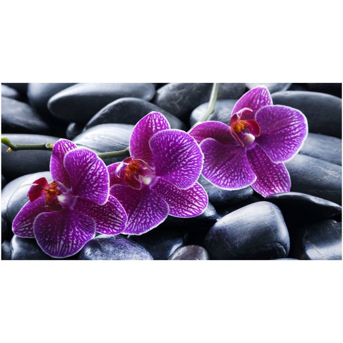 Фотообои "Мильтония" 13-0327-FR, 1,30х2,5 м