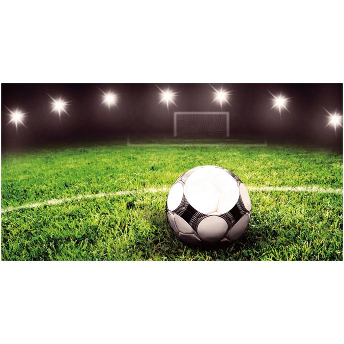 Фотообои "Перед матчем" 13-0534-SG, 1,30х2,5 м