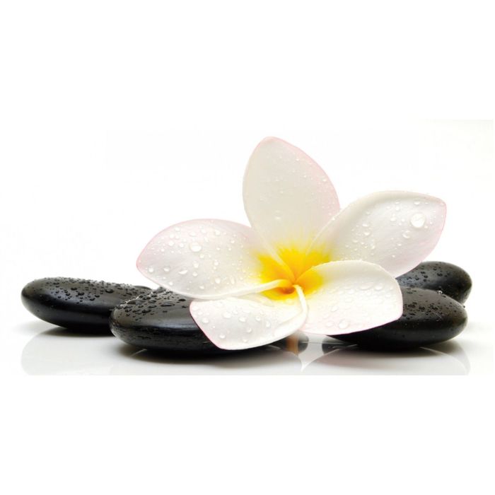 Фотообои "Свежесть" 13-0296-FW, 1,30х2,5 м