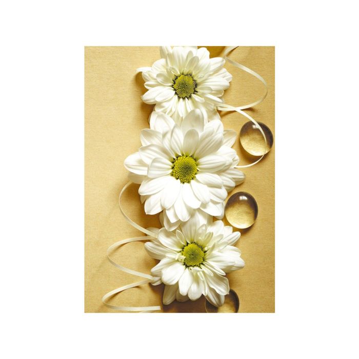 Фотообои "Альба" 21-0281-FE (из 2-х листов), 2,00х2,8 м