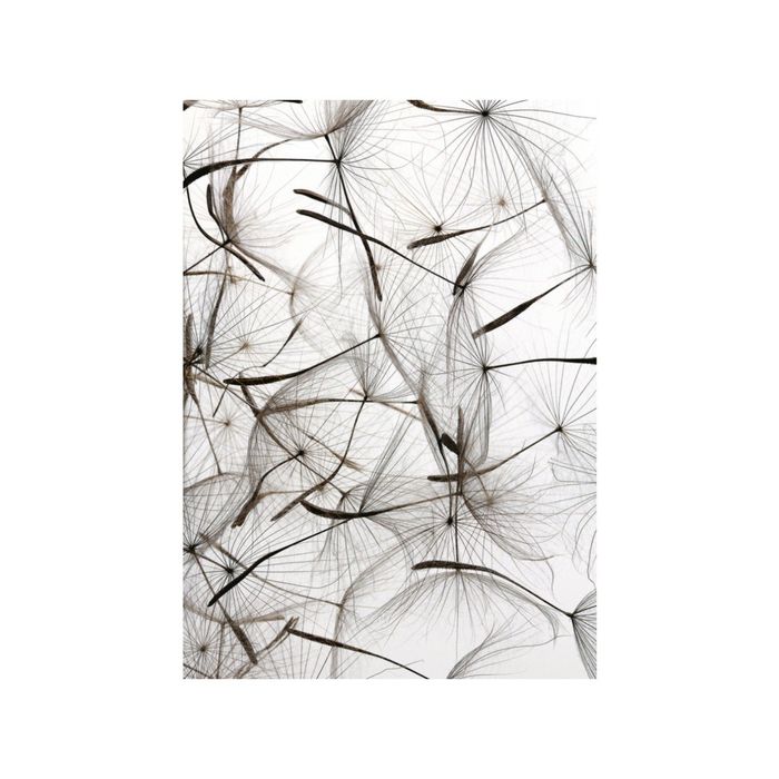 Фотообои "Легкость" 21-0177-FB (из 2-х листов), 2,00х2,8 м