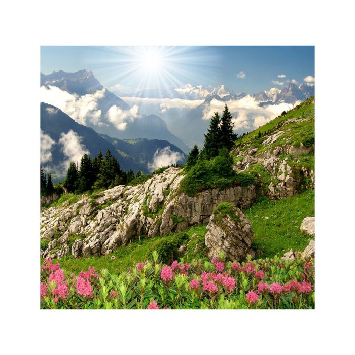 Фотообои "Альпийский луг" 26-0509-PG (из 2-х листов), 2,60х2,50 м