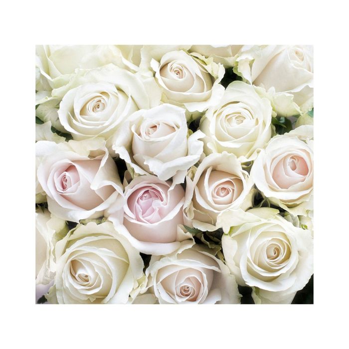 Фотообои "Белые розы" 31-0412-FE (из 3-х листов), 3,00х2,8 м