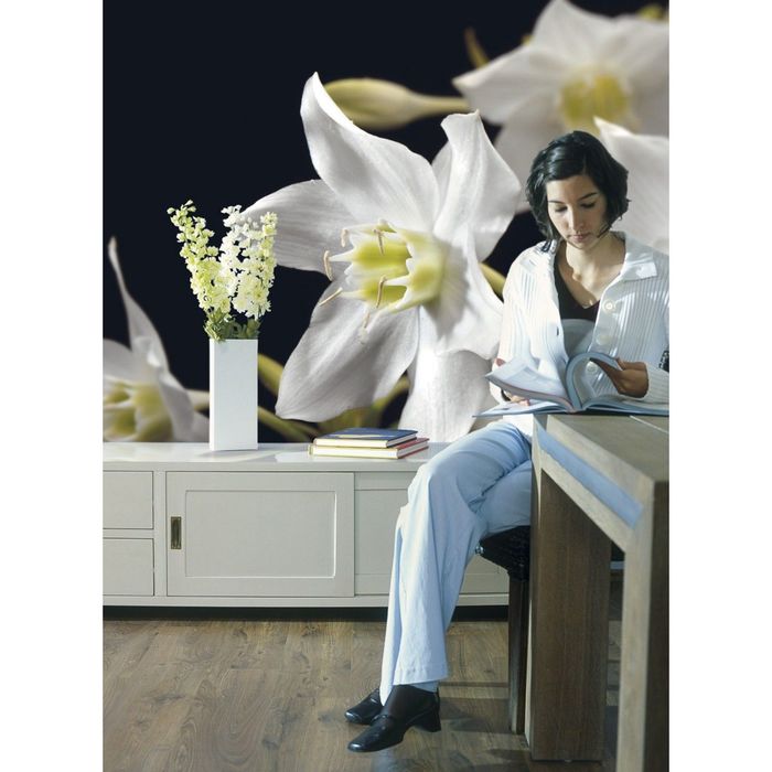 Фотообои Komar 4-259 Нарцисс 2,54x1,84 м (состоит из 4 частей)