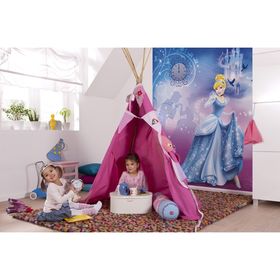 

Фотообои Komar 4-407 Disney Золушка 1,84x2,54 м (состоит из 4 частей)