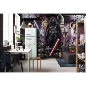 

Фотообои Komar 8-482 Star Wars Дарт Вейдер 3,68x2,54 м (состоит из 8 частей)