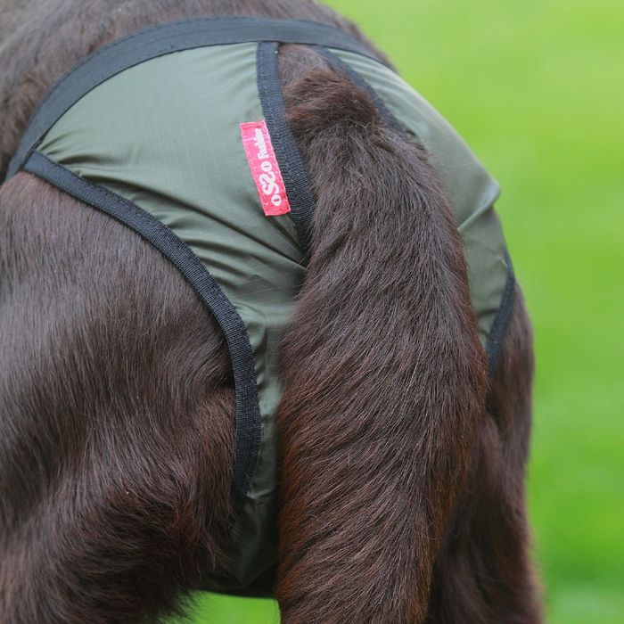 Трусы для собак OSSO, размер XS (талия 21-40 см, глубина 23 см), полиэстер