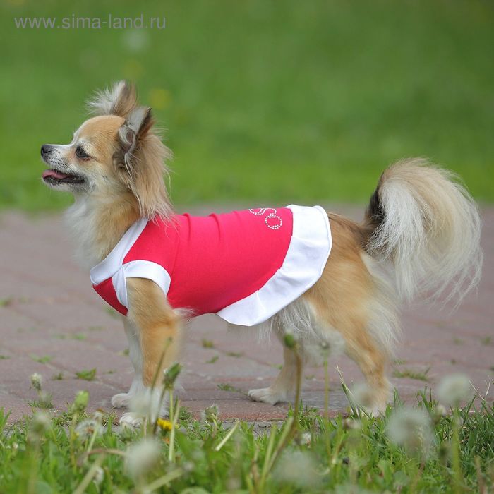 фото Платье osso для собак «красотка», размер 32, микс цветов osso fashion