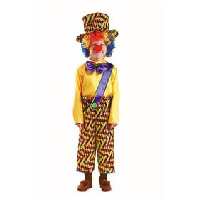 Карнавальный костюм «Клоун Петя», текстиль, рубаха, бриджи, шляпа, парик, нос, размер 28, рост 110 см от Сима-ленд