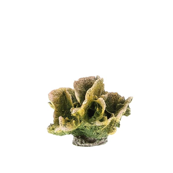 Коралл пластиковый "REPLICA LIVE CORAL" L120 x W100 x H90мм