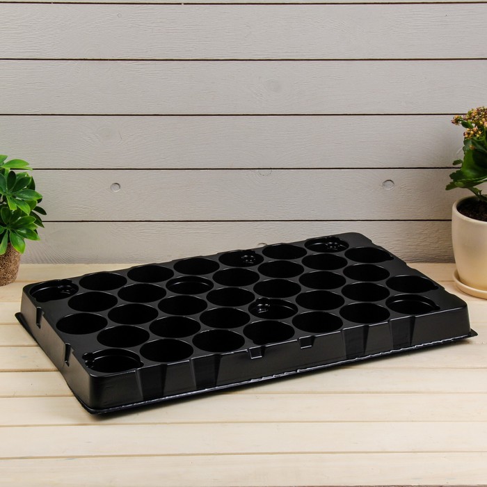 Кассета для рассады, 52 х 31 х 5 см, 35 ячеек по 130 мл