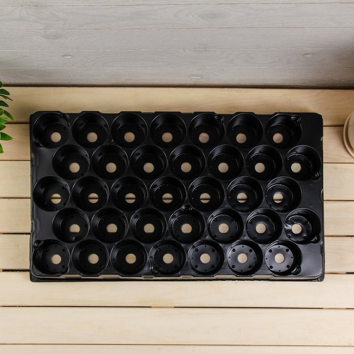 Кассета для рассады, 52 х 31 х 5 см, 35 ячеек по 130 мл