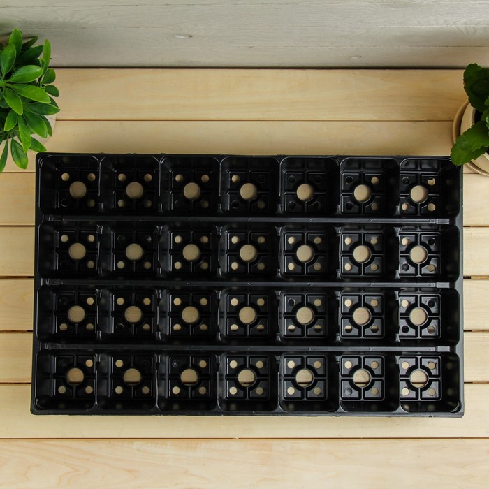Кассета для рассады, 53 х 32 х 7 см, 28 ячеек по 300 мл