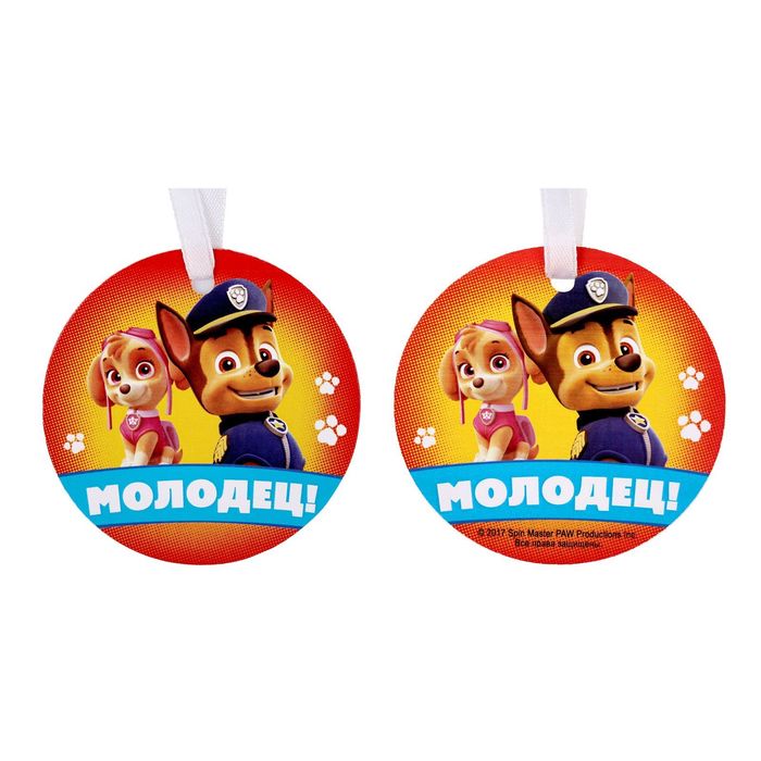 Щенячий патруль. Портфолио в мягкой обложке "Портфолио дошкольника"