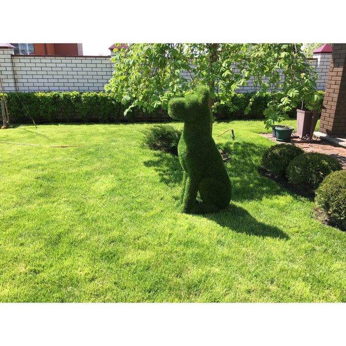 Топиар фигура "Дог"