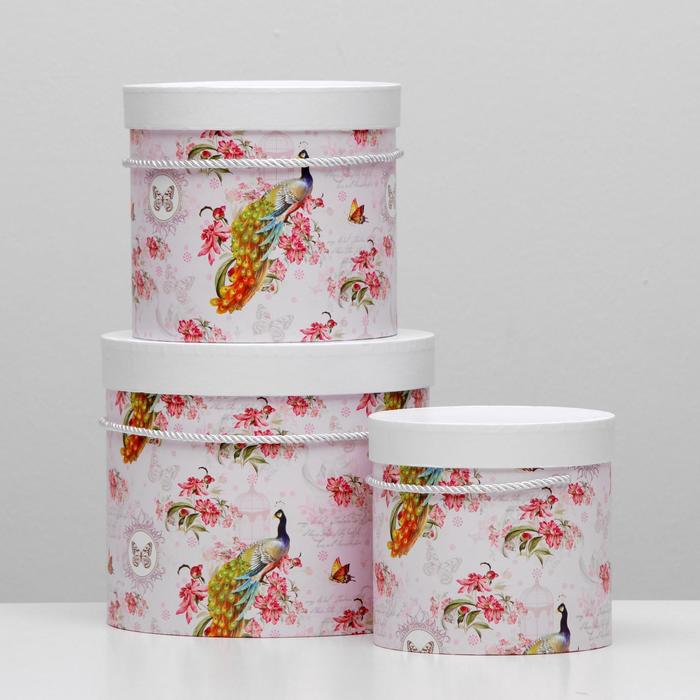 Набор коробок 3в1 "Жар-птица", 23 х 23 х 20 - 15 х 15 х 15 см