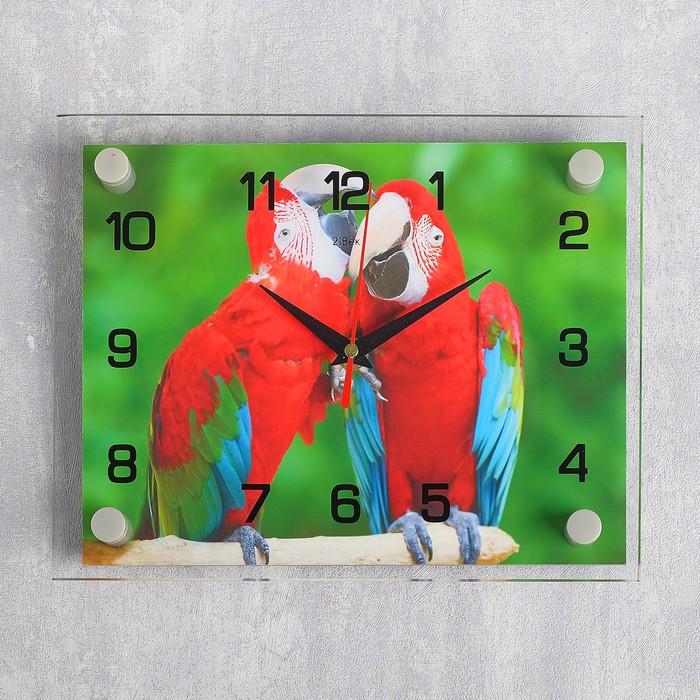 Часы настенные прямоугольные "Попугайчики", 20х26 см