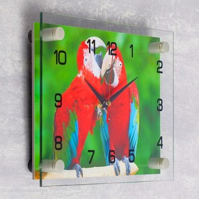 

Часы настенные, серия: Животный мир, "Попугайчики", 20х26 см микс