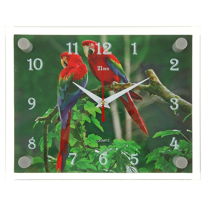 Часы настенные прямоугольные "Два попугая", 20х26 см