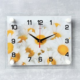 Часы настенные, серия: Цветы, 'Ромашки', 20х26 см  микс Ош