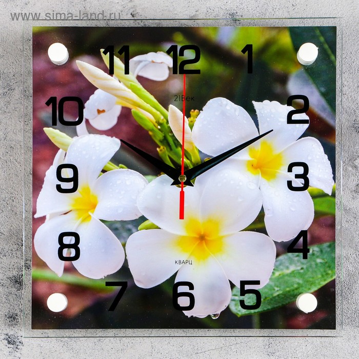 фото Часы настенные, серия: цветы, "белые цветки", 25х25 см микс рубин