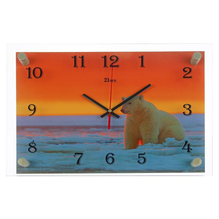 Часы настенные прямоугольные "Белый медведь", 25х35 см микс