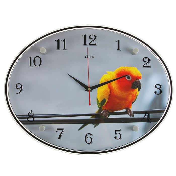 Часы настенные овальные "Попугайчик", 35х46 см