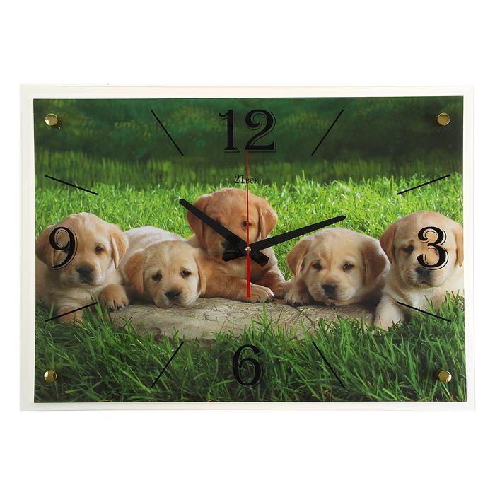 Часы настенные прямоугольные "Щенята", 40х56 см