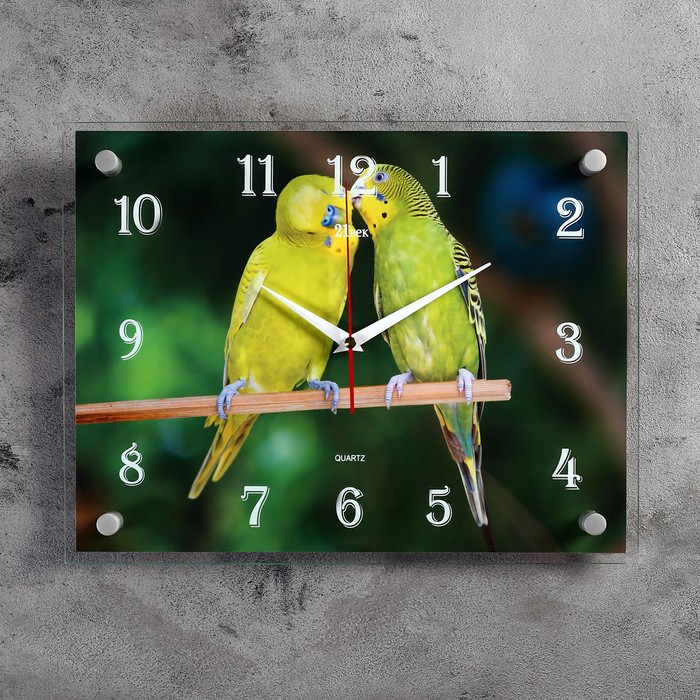 Часы настенные прямоугольные "Попугайчики", 30х40 см